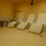 Orsa Maggiore Falcade