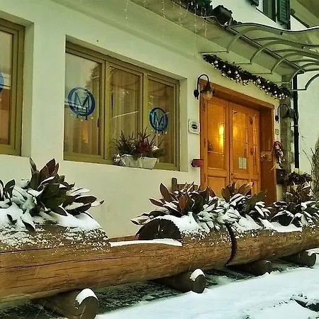 Orsa Maggiore Falcade