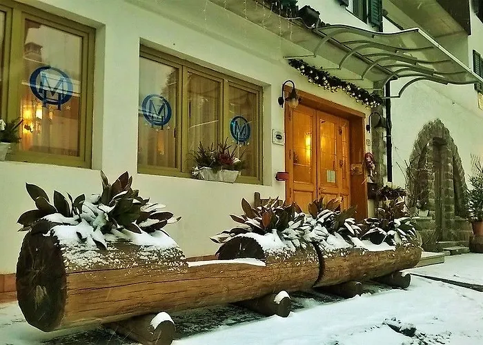 Orsa Maggiore Falcade