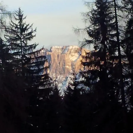 Orsa Maggiore 호텔