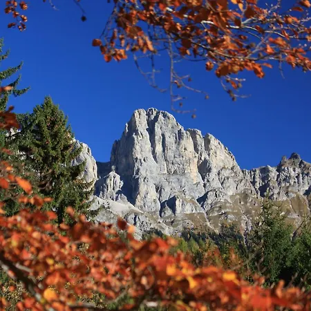 Orsa Maggiore 호텔