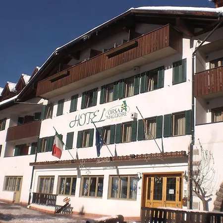 Orsa Maggiore Falcade