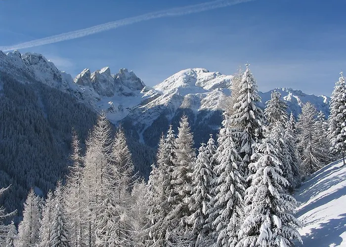 Orsa Maggiore Hotel Falcade